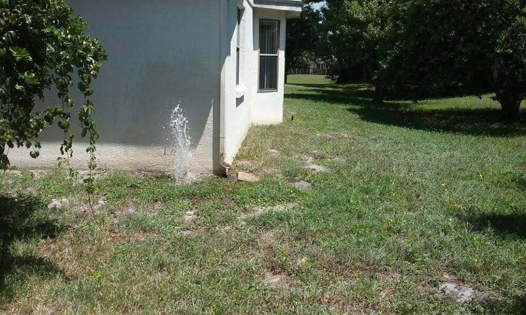 Sprinkler Repair Trilby