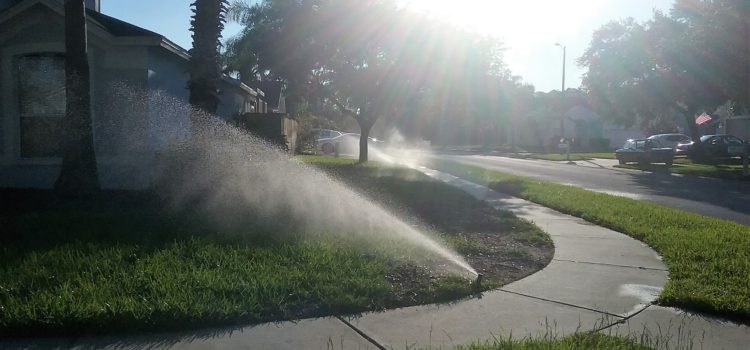 Water Restrictions Pasco County Florida