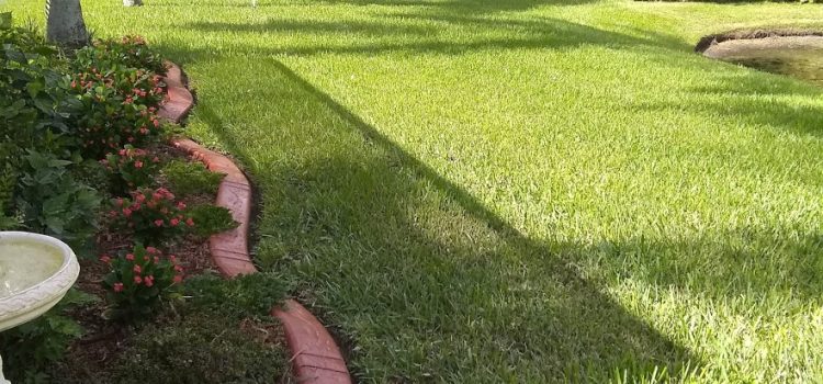 Best lawn sprinkler repair service business American Property Maintenance is located in Pasco County Florida. We always provide Free Estimates and all work is warranted for one year.