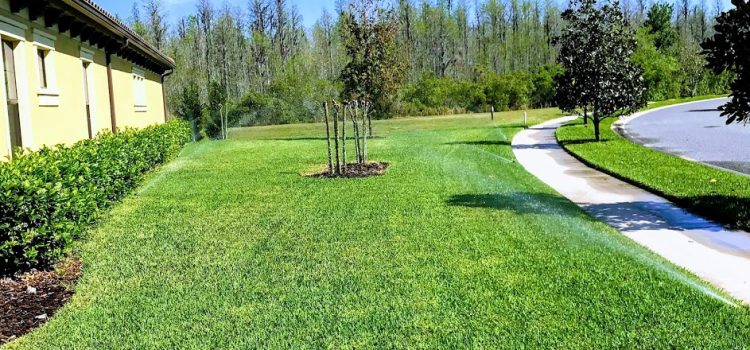 American Property Maintenance is the best lawn sprinkler repair business in Pasco Florida Sprinkler Repairs