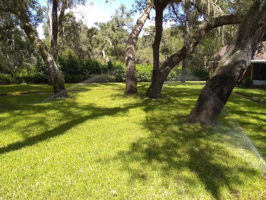 Lawn Sprinkler Repair Service American Property Maintenance located in Pasco County Florida