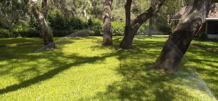 How Do I Maintain an Irrigation System? Irrigation repairs American Property Maintenance located in Pasco County Florida