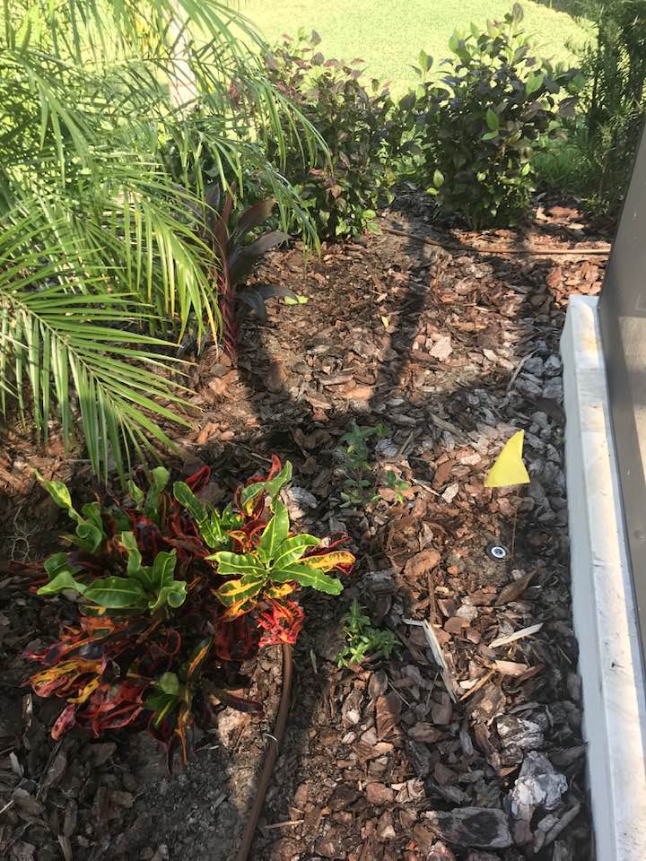 Sprinkler repair Dade City Fl drip irrigation is added to properly irrigate plants.