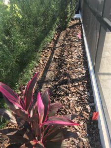 5 Benefits of Installing a Drip Irrigation System for Your Garden