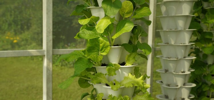 How to Build Your Hydroponic Garden: Step-by-Step Instructions