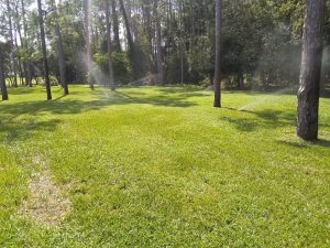 What Are the Most Common Sprinkler Problems? Sprinkler System Maintenance: Why It's Important and How American Property Maintenance Can Help