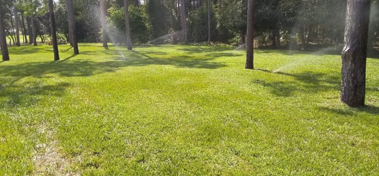 Sprinkler System 101 Simplifying Lawn Care