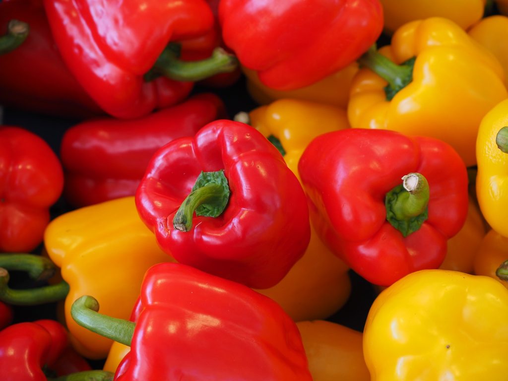 How to Cultivate Peppers in Raised Garden Beds and Small Pots